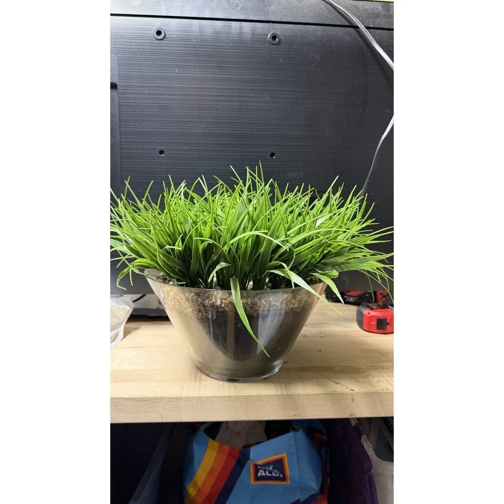 Artificial Grass Plant in Glass Pot Faux‎ Green Decor ~12